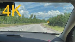 Driving Car Summer 4K 24fps - Free HD Background Video - No Copyright