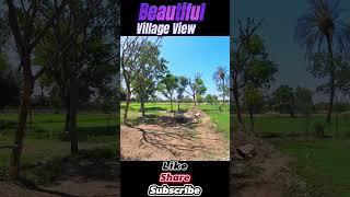 Beautiful Village View