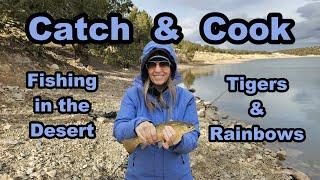 Fishing in the Utah Desert? A Catch & Cook Fishing Adventure. #troutfishing #utahfishing #fishing