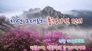 명품사진 명품밴드 | 베스트포트 | 풍경사진 작품전 |   | 202404 |