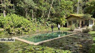 UNBELIEVABLE KITCHEN! MOUNTAIN HOUSE WITH AMAZING HIDDEN GEMS. HUGE GARDEN LOOKS LIKE PARADISE!