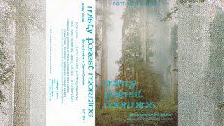 David Gordon & Steve Gordon - Misty Forest Morning [1982]