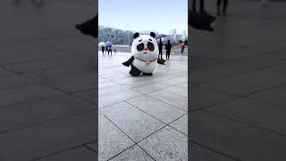 Panda dance