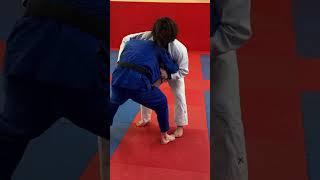 Shohei Ono in Scotland Judo