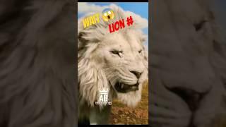 MUFASA-3 #viralvideo  Office Trailer Movie #shortvideo #shorts 2025