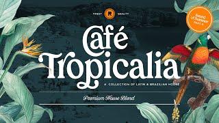 Latin Brazilian House Mix | Café Tropicalia House Mix Pt. 8