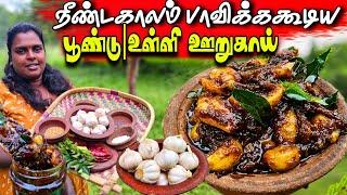 சாப்பிட்டால் இதன் சுவையை மறக்க மாட்டீங்க | village life ️| vanni vlog