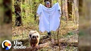 Fallen Baby Owl Rescued by Family | The Dodo