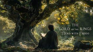 LOTR: Read with Frodo - Deep Fantasy Ambient Music & Haunting Elvish Vocal