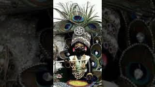 Jai Laddu gopal #### laddu gopal status ️####short video️️️
