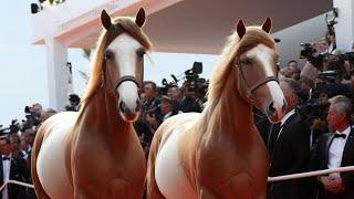 The 5 Most Famous Horses In History !