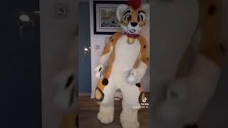 Is it hard to dance with Digi legs? #furry #furrys #furryfandom #fursuit #fursuiter #fursuitdance