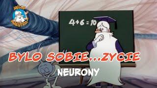 Bylo Sobie... Zycie  - Neurony 