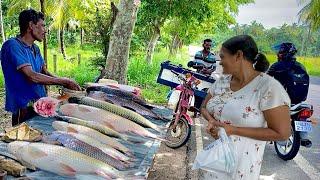 Amazing!! Captivating Hidden Village Fish Markets Mastering the Art Of Fishmongery