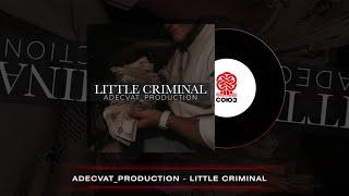 Adecvat_production - Little Criminal (2023)