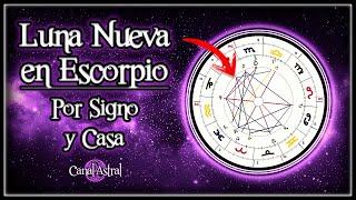 [ANÁLISIS COMPLETO] Luna nueva en Escorpio  (Por Signo y Casa) // Cómo canalizar su energía