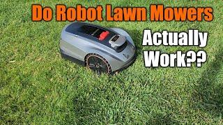 Don't Buy a Robot Lawnmower Without Watching This Video First | Real World Expectations