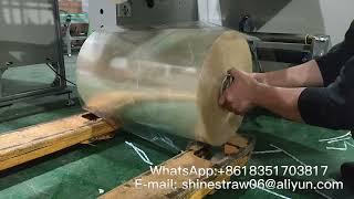 Bulk straw packaging machine