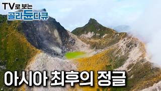 미지의 세계, 아직도 밝혀지지 않은 정글 속 거친 야생의 땅｜세계 3대 열대우림이라 불리는 아시아의 열대우림｜인도네시아, 캄보디아, 말레이시아의 정글｜세계테마기행｜#골라듄다큐