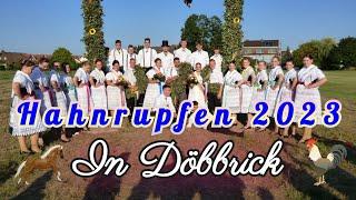 Hahnrupfen in Döbbrick - Cottbus mit Hahnflucht  /  2023 #brauch #tradition