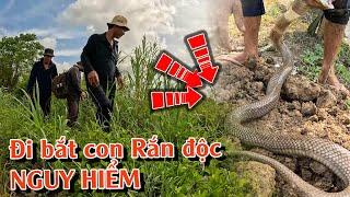 Rắn Độc Nguy Hiểm | Chuyên gia chia sẻ những kỹ năng SĂN BẮT hàng đầu | TGSB #985