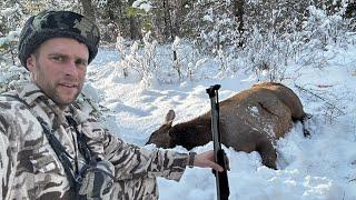 Muzzleloader Meat Hunt - Stuck N The Rut 177