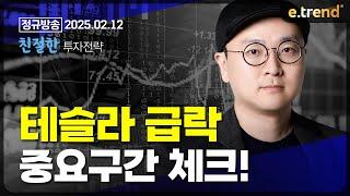 테슬라 급락 중요구간 체크 !!  | 이안 전문가