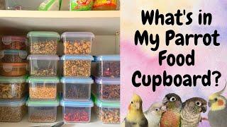 What's in my Parrot Food Cupboard? | Treat Ideas | BirdNerdSophie #Shorts