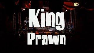 KING PRAWN: DAY IN, DAY OUT, Live at Manchester Punk Festival 2024