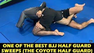 One Of The Best BJJ Half Guard Sweeps (The Coyote Half Guard) by Lucas Leite