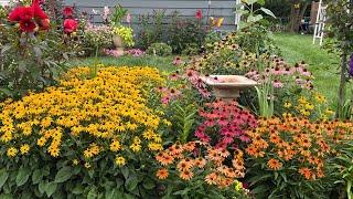 How I Started My POLLINATOR GARDEN