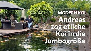 Andreas 40.000 Liter Teich mit perfektem Wasser | Modern Koi Blog #6907