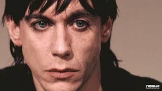 Iggy Pop (James Newell Osterberg, Jr.) - Tuff Baby, 1988 Instinct (papamoski balakovo)