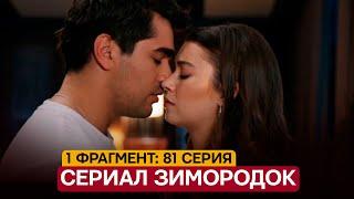 1 ФРАГМЕНТ! Турецкий сериал Зимородок 81 серия русская озвучка