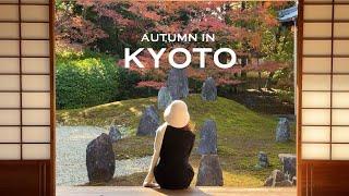 Kyoto in autumn | 3-day itinerary | teahouse, cafes, temples & red leaves spots | Japan VLOG