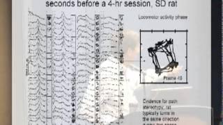 Stephen Fowler, "Measurement of the Behavior Stream" SQAB