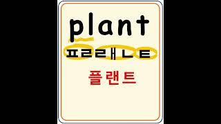 plant  플랜트  식물  #영어읽기 #왕초보영어#영어기초 #영어공부