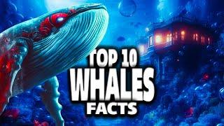 Top 10 Whale Wonders Unveiled: Explore Fascinating Facts About These Ocean Giants!