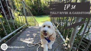 EP_38 Assistance Animal @ Tully River and Cardstone