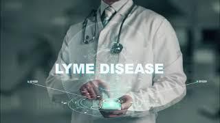 Undoing Lyme disease by Arkadi F  Prokopov