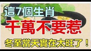 冬至日，這7個生肖太旺了。| 星座生肖