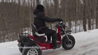 Invader Off Road Mobility Scooter