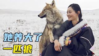 现实版“美女与野兽”，她与狼王之子生活1年，分别时狼哭了