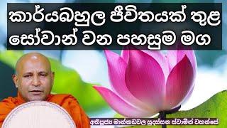 කාර්යබහුල ජීවිතයක් තුළසෝවාන් වන පහසුම මගmankadawala sudassana thero/mankadawala sudassana thero 2024