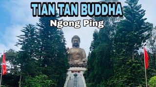 Tian Tan Buddha // Big Buddha In Ngong Ping Hong Kong