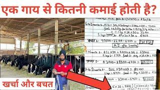 एक गाय से कितनी कमाई होती है? खर्चा,बचत। How to earn money from dairy farm।Dairy farm business।