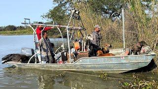 Hunting WILD HOGS with A PACK OF DOGS in the Louisiana Swamp (CATCH AND COOK)