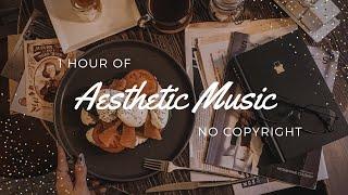 1 Hour of Aesthetic Music | No Copyright Background Music Playlist 