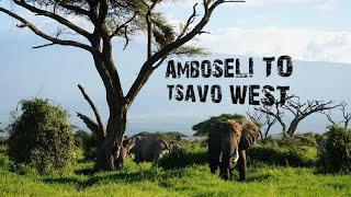 Kenya Roadtrip From Amboseli to Tsavo West with DM tours  Welcome to Kenya