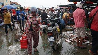 Amazing Site Distribute Fish, Seafood  - Daily Lifestyle & Activities of Vendors Selling Alive Fish